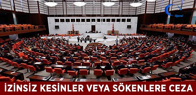 İzinsiz Kesinler veya Sökenlere Ceza