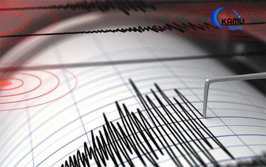 İstanbul'da Her Yerde Kirpi Görülüyor Deprem Habercisi Mi?