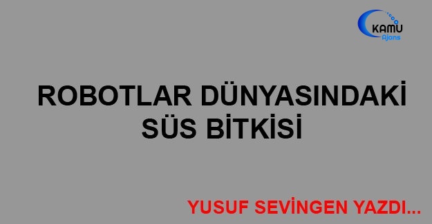 Robotlar Dünyasındaki Süs Bitkisi