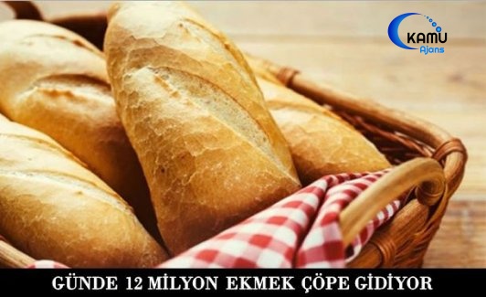 Günde Çöpe Giden Ekmek Miktarı