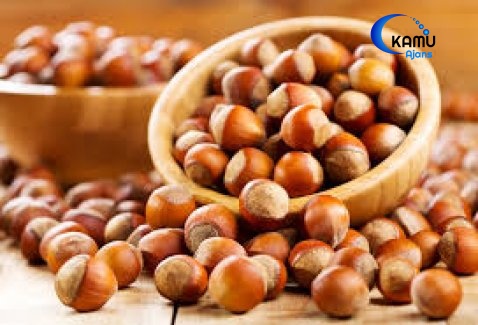 Fındık Fiyatları Yeni Sezonda Ne Kadar Olacak