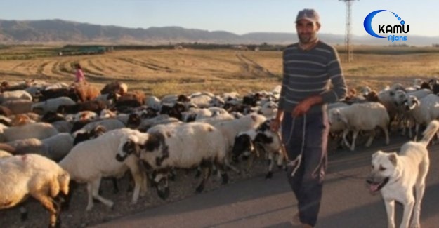 Çiftçiye Çifte Destek