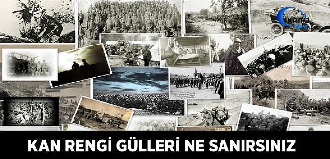 Kan Rengi Gülleri Ne Sanırsınız