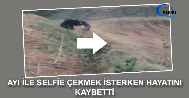 Ayı İle Selfie Çekmeye Çalışan Kişi Hayatını Kaybetti