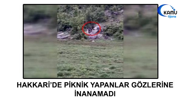 Hakkari'de Piknikçiler Gözlerine İnanamadı