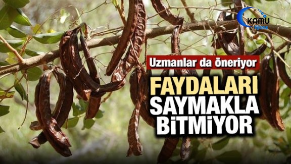 Uzmanlar Öneriyor... Faydaları Saymakla Bitmiyor