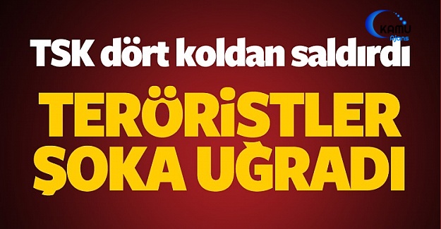 TSK'dan DAEŞ'e Operasyon