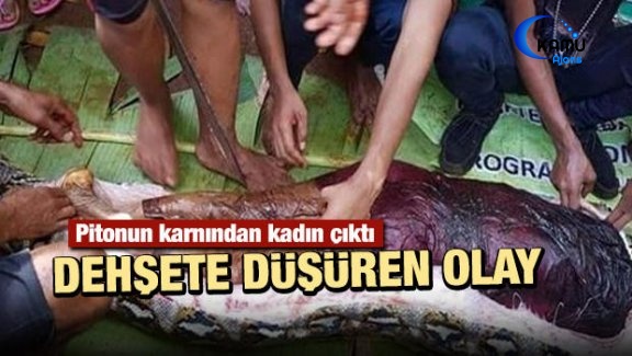 Endonezya'da Piton Kadını Yuttu