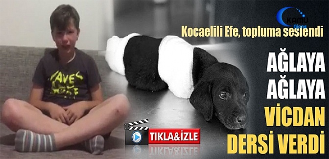 Sakarya'daki Yavru Köpeğin Katledilmesine İzmitli Çocuktan Gözyaşları İçinde Tepki
