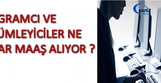 Programcı Ve Çözümleyici Maaş Miktarları