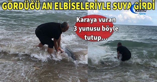 Hayvansever İş Adamı Yunusları Hayata Döndürdü