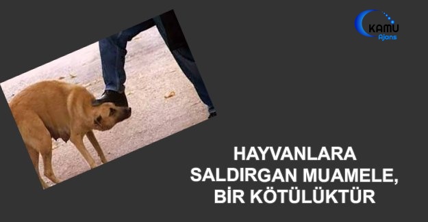 Hayvanlara Saldırgan Muamele, Bir Kötülüktür