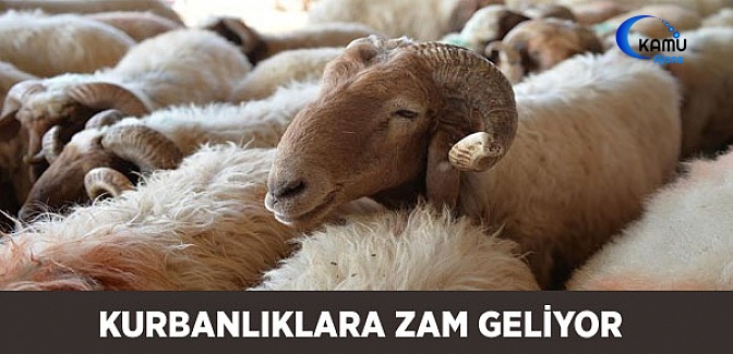 Kurban'da Zam Bekleniyor