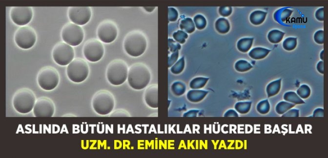 Aslında Bütün Hastalıklar Hücreden Başlar