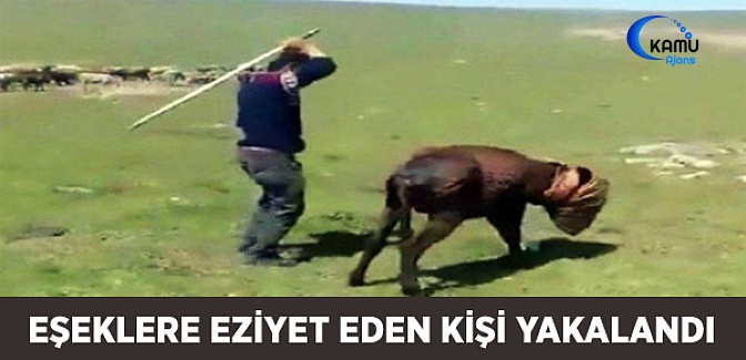 Eşeklere Eziyet Eden Kişi Yakalandı