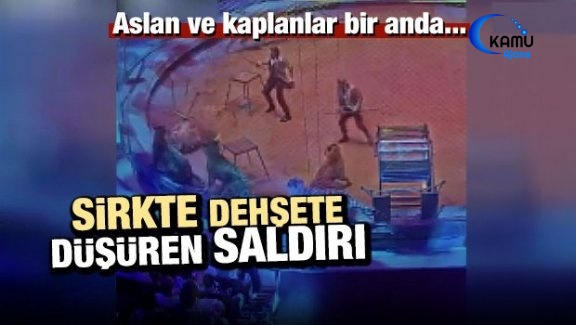 Sirkte Dehşete Düşüren Saldırı! Aslan Ve Kaplanlar...