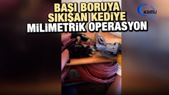 Başı Boruya Sıkışan Kediye "Milimetrik" Operasyon