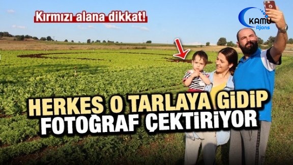 Ay Yıldızı Marul Tarlasına Yansıttılar