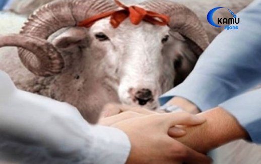 Kurban ..! Ne Neye Kurban...!