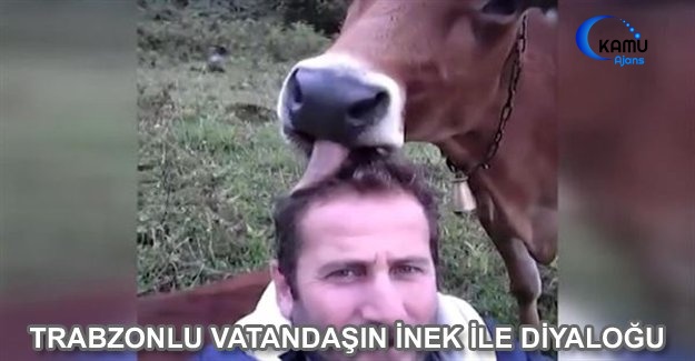 Trabzonlu Vatandaşın İnek İle Diyaloğu