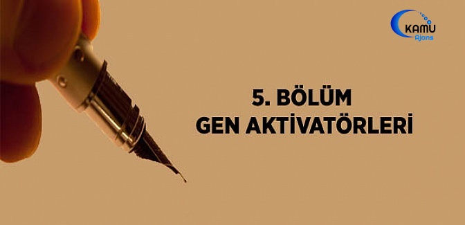 5. Bölüm Gen Aktivatörleri