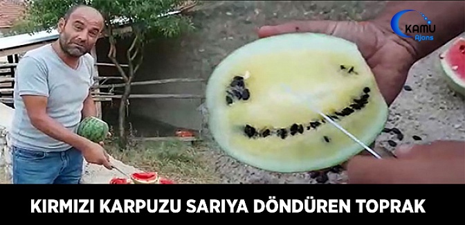 Bu Toprak Kırmızı Karpuzu Sarıya Döndürüyor