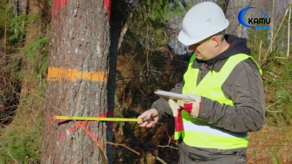 50 Adet Orman Mühendis Alımı İlanı İptal Edildi