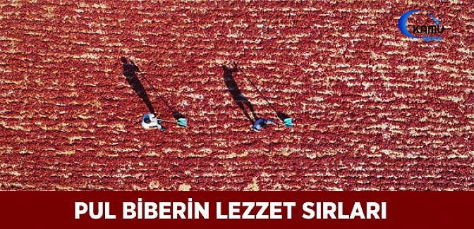 Pul Biberin Lezzet Sırları