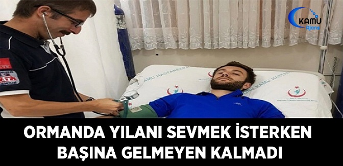 Ormanda Sevmek İstediği Yılan Hastanelik Etti