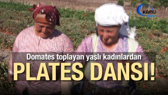 Domates Toplayan Yaşlı Kadınlardan Plates Dansı