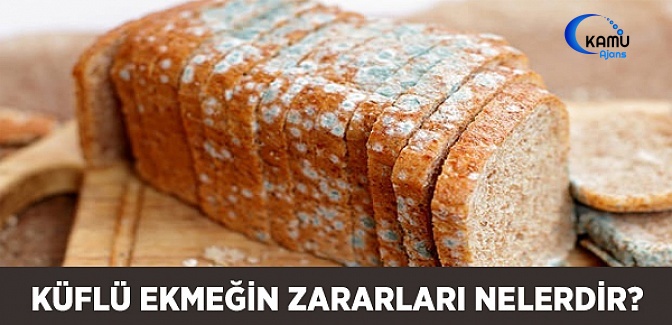 Küflü Ekmeğin Zararları Neledir?
