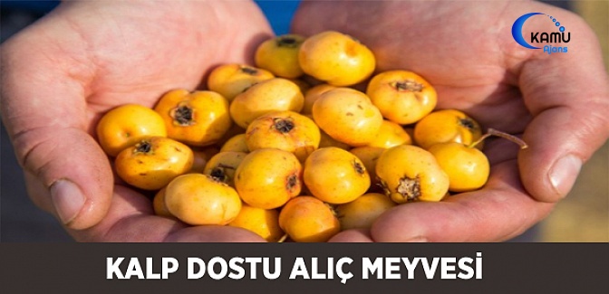 Kalp Dostu Alıç Meyvesi