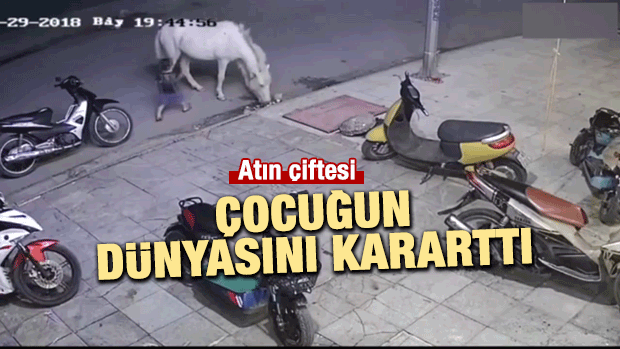 Çocuğun Atla Oyunu Kötü Bitti