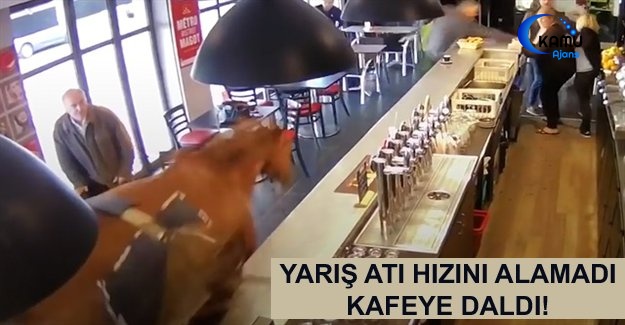 Yarış Atı Hızını Alamadı: Kafeye Daldı!