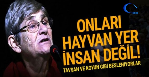 Tahıl Yersek Koyun Gibi Oluruz