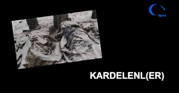 Kardelenl(Er)
