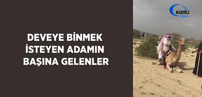 Deveye Binmek İsteyen Adamın Başına Gelenler