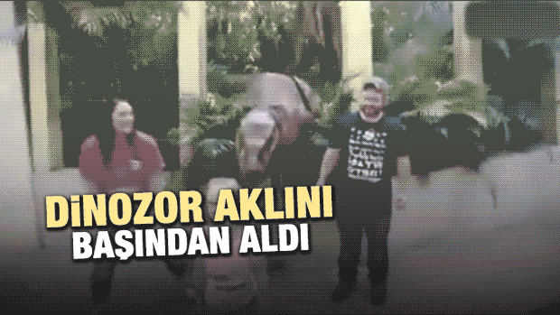 Dinozor Aklını Başından Aldı