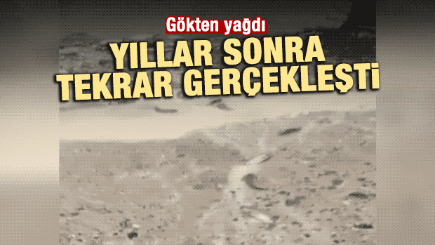 Hindistan'da Kasırga Sonrası Gökten Balık Yağdı
