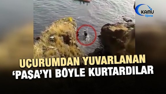 Uçurumdan Yuvarlanan