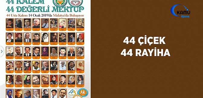 44 Çiçek 44 Rayiha