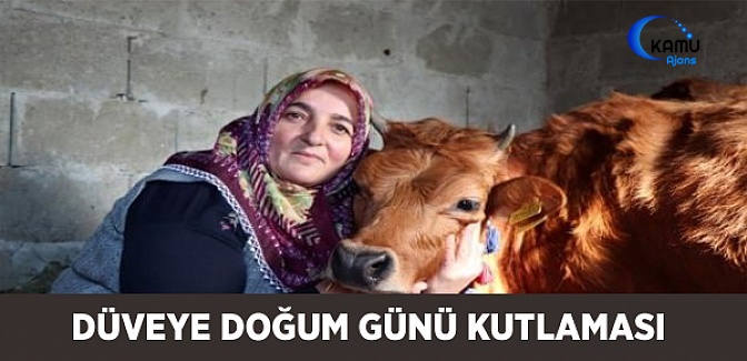 Düveye Doğum Günü Kutlaması