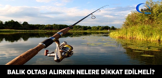 Balık Oltası Alırken Neye Dikkat Edilmeli?