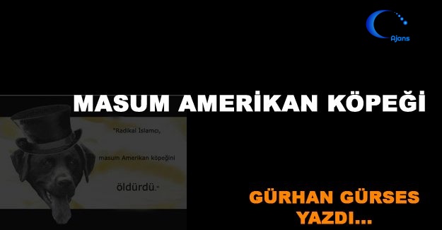 Masum Amerikan Köpeği