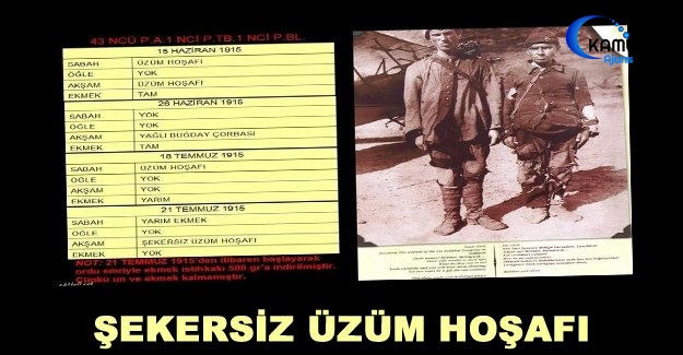 Şekersiz Üzüm Hoşafı