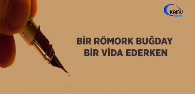 Bir Römork Buğday Bir Vida Ederken