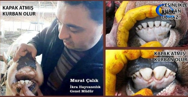 Kurban Bayramı Öncesi Önemli Uyarı