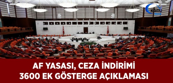 Af Yasası, Ceza İndirimi ve 3600 Ek Gösterge Açıklaması