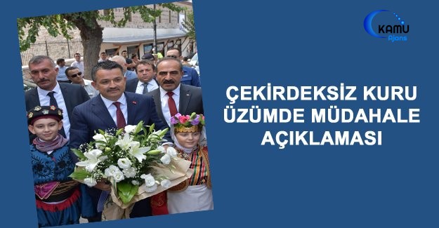 Çekirdeksiz Kuru Üzümde Müdahale Açıklaması