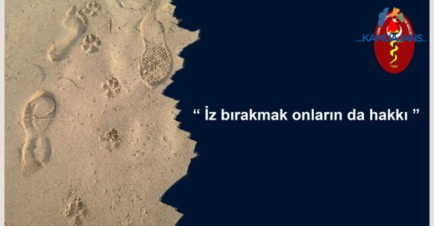 Can Yoldaşımız,  Yalnızlığımızda Can Dostlarımız